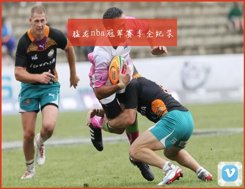 猛龙nba冠军赛季全纪录