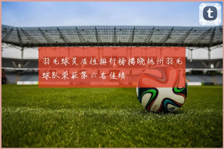 羽毛球灵活性排行榜揭晓杭州羽毛球队荣获第六名佳绩