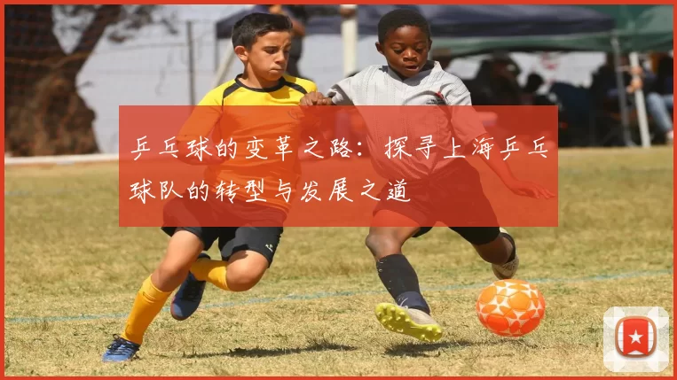 乒乓球的变革之路：探寻上海乒乓球队的转型与发展之道
