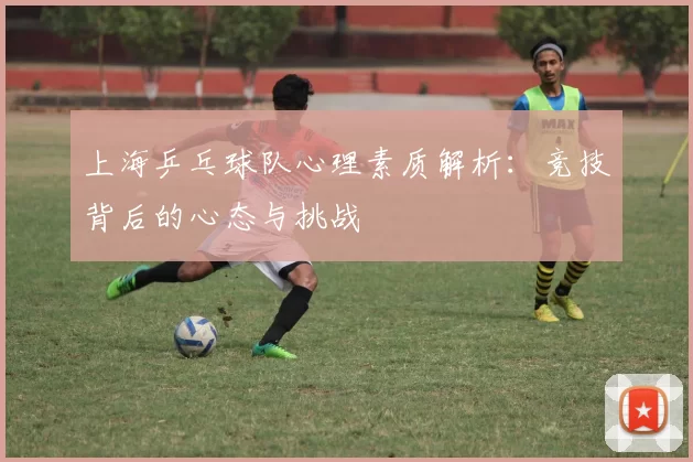 上海乒乓球队心理素质解析：竞技背后的心态与挑战