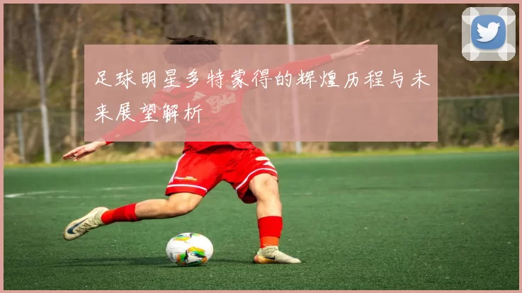 足球明星多特蒙得的辉煌历程与未来展望解析