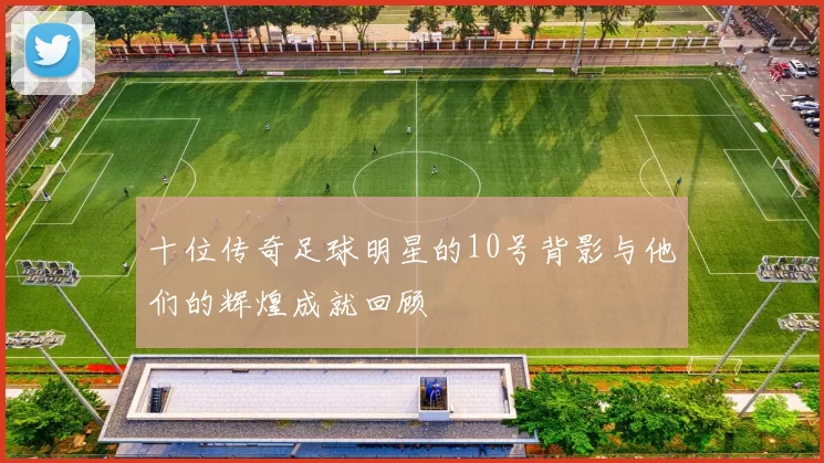 十位传奇足球明星的10号背影与他们的辉煌成就回顾