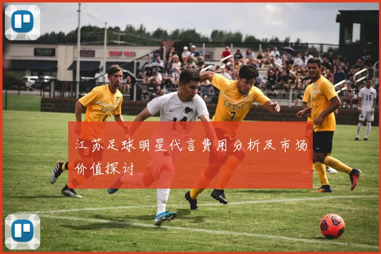 江苏足球明星代言费用分析及市场价值探讨