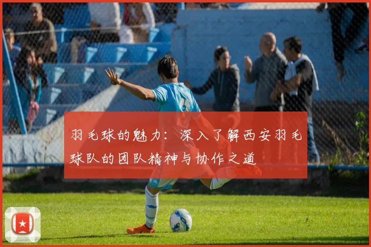 羽毛球的魅力：深入了解西安羽毛球队的团队精神与协作之道