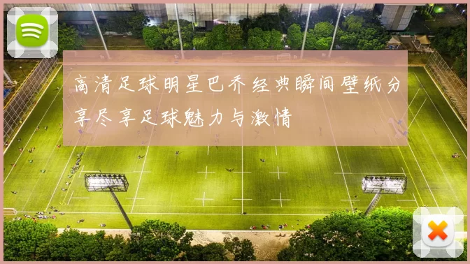高清足球明星巴乔经典瞬间壁纸分享尽享足球魅力与激情