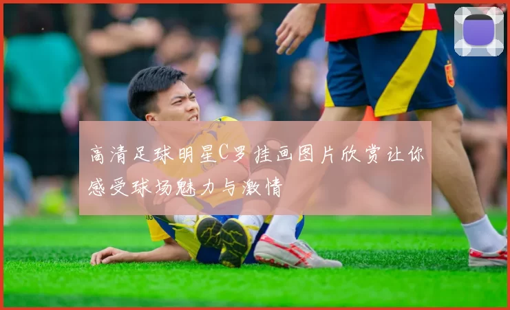 高清足球明星C罗挂画图片欣赏让你感受球场魅力与激情
