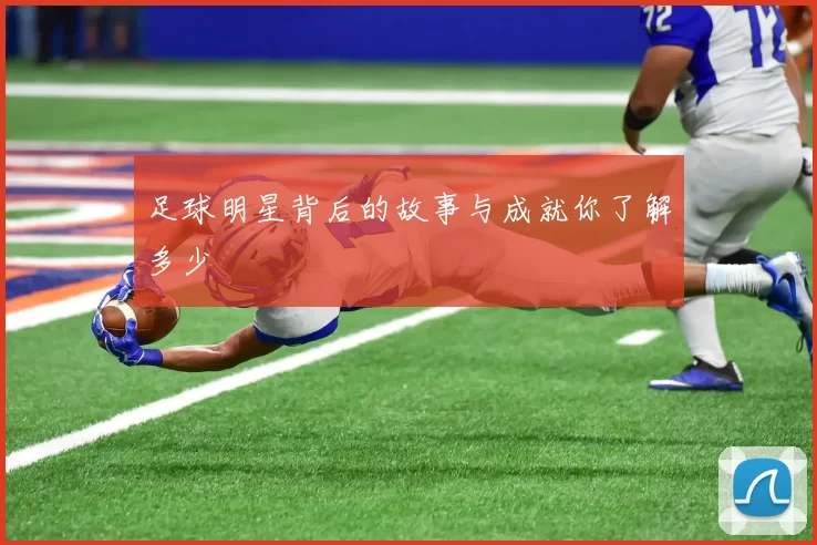 足球明星背后的故事与成就你了解多少