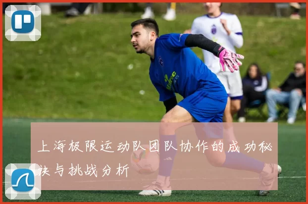 上海极限运动队团队协作的成功秘诀与挑战分析
