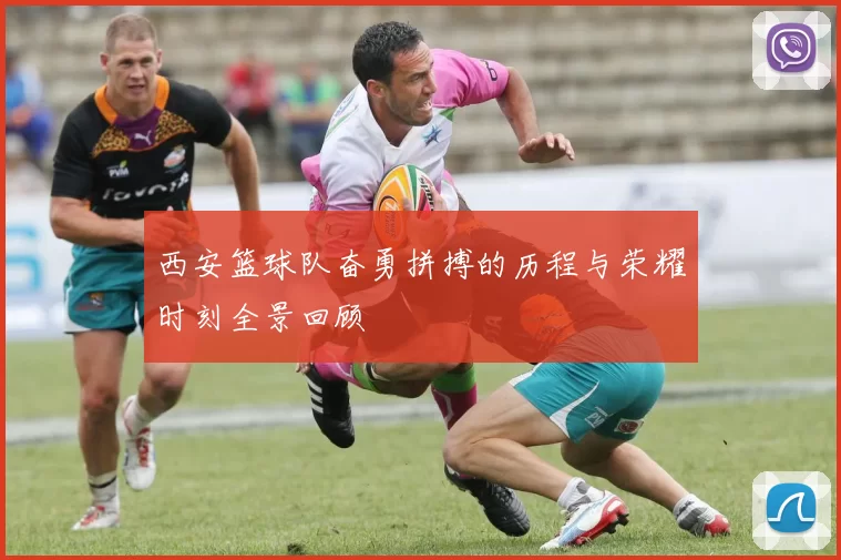 西安篮球队奋勇拼搏的历程与荣耀时刻全景回顾