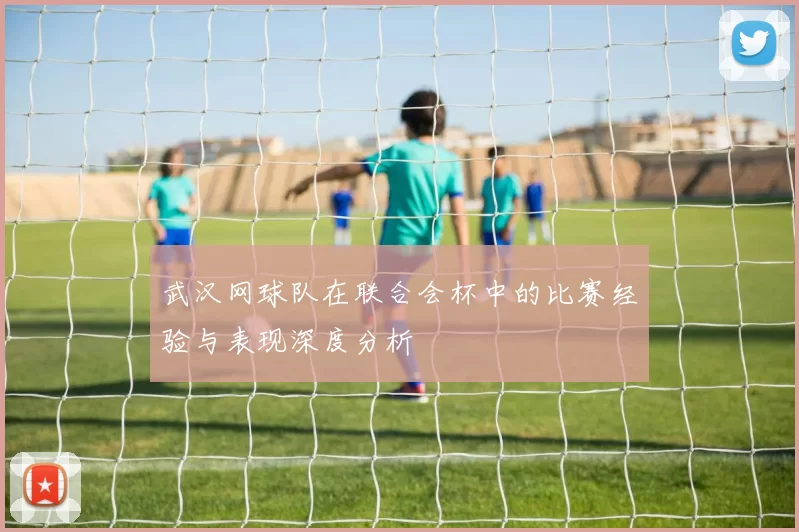 武汉网球队在联合会杯中的比赛经验与表现深度分析