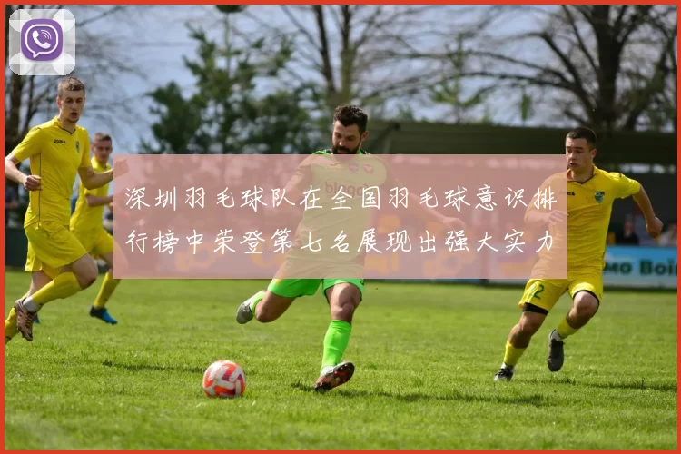 深圳羽毛球队在全国羽毛球意识排行榜中荣登第七名展现出强大实力与潜力