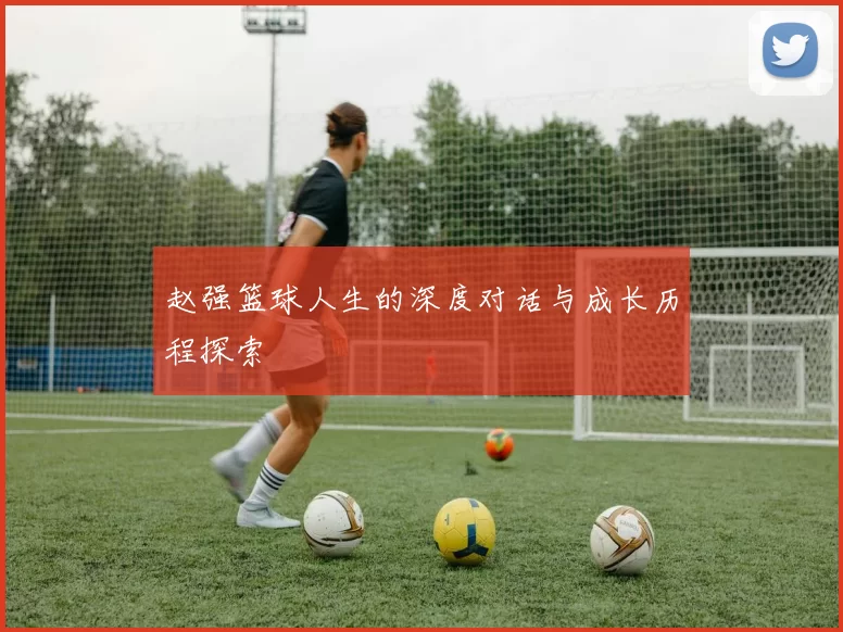 赵强篮球人生的深度对话与成长历程探索