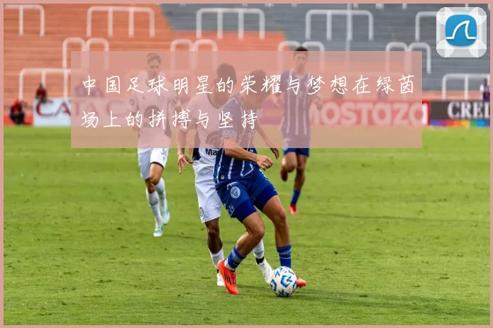 中国足球明星的荣耀与梦想在绿茵场上的拼搏与坚持