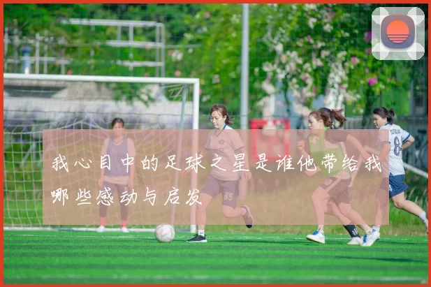 我心目中的足球之星是谁他带给我哪些感动与启发