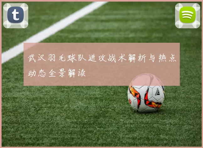 武汉羽毛球队进攻战术解析与热点动态全景解读