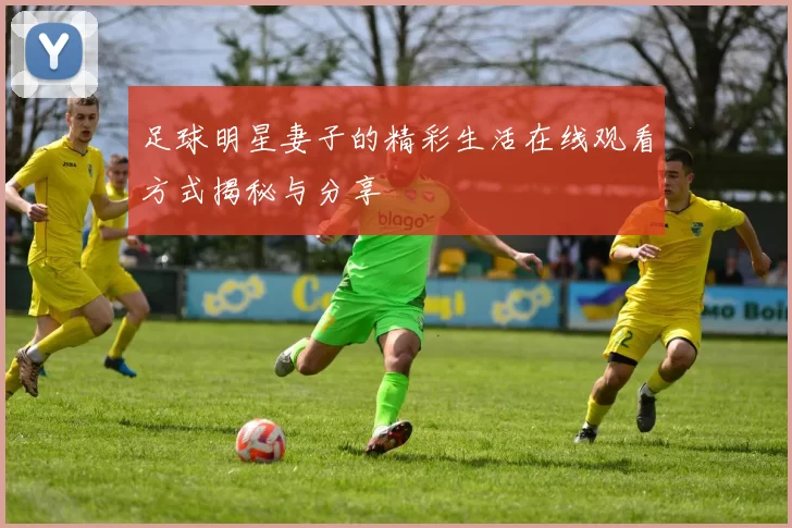 足球明星妻子的精彩生活在线观看方式揭秘与分享