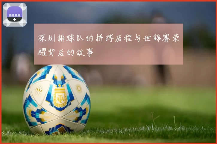 深圳排球队的拼搏历程与世锦赛荣耀背后的故事