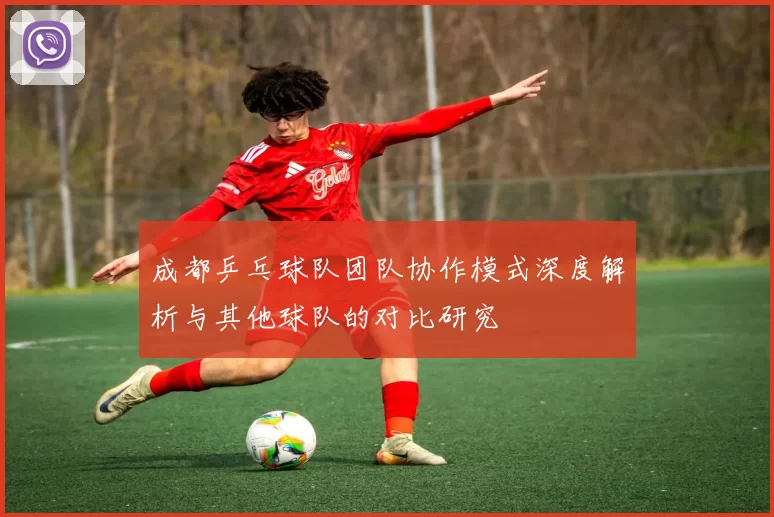 成都乒乓球队团队协作模式深度解析与其他球队的对比研究