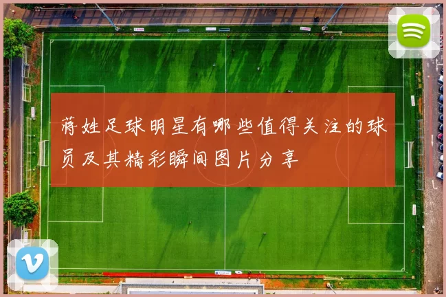 蒋姓足球明星有哪些值得关注的球员及其精彩瞬间图片分享
